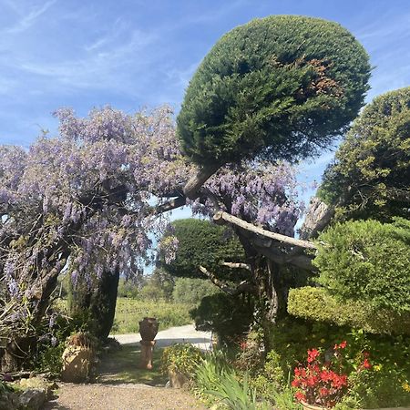 La Maison De Justine Grimaud Exterior foto