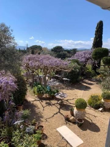 La Maison De Justine Grimaud Exterior foto