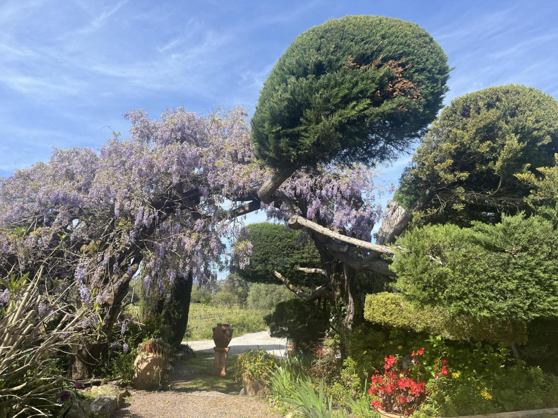La Maison De Justine Grimaud Exterior foto